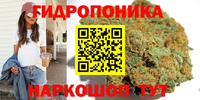 ешки Краснодар