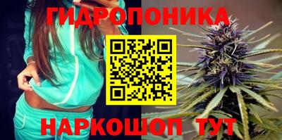 ешки Краснодар