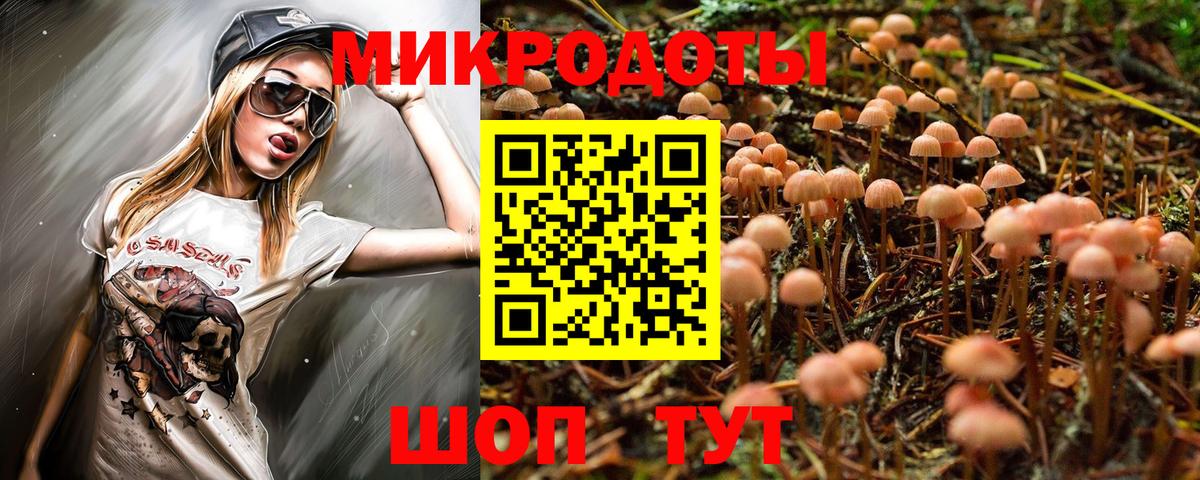 Галлюциногенные грибы Psilocybe  Вход с VPN  Кизляр 