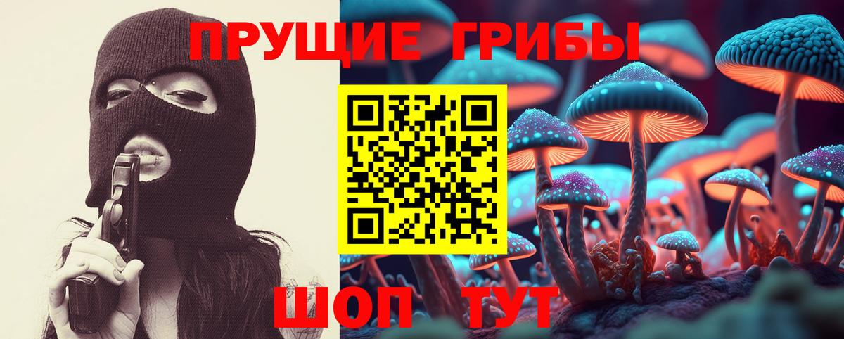 Псилоцибиновые грибы Cubensis Кизляр